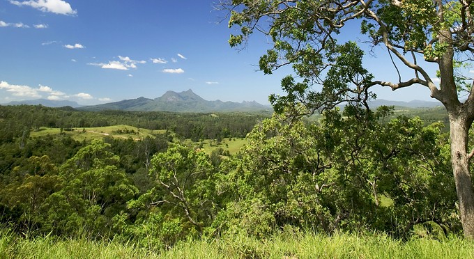 New South Wales